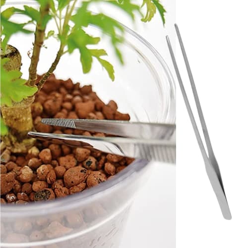 Itisyou Long and Large Tweezers, Long Tweezers, Herbarium Tweezers, Aquarium Tweezers