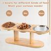Elevated Cat Bowls Raised Food Bowls 15° Tilted Pet Bowls for Cats Puppy Small Dogs Feeder Stand with 3 Stainless Steel Bowls