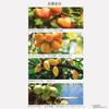 The Saem Japan Official Perfume Hand Cream Apricot 0722 Moisturizing Hand Cream