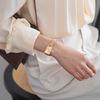 Daniel Wellington European and American watches QUADRO series watches, quartz movement, stainless steel strap, gold dial, women's watch DW00100484