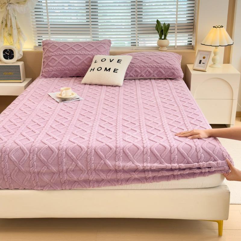 2025New Thickened Warm Bed Sheet Single Piece Autumn Winter Coral Fleece Bed Sheet Taffeta Mattress Protector