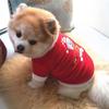 Christmas Pet Sweatshirt Costume Puppy Dog Winter Cute Durable Clothing Pet Xmas Decoration