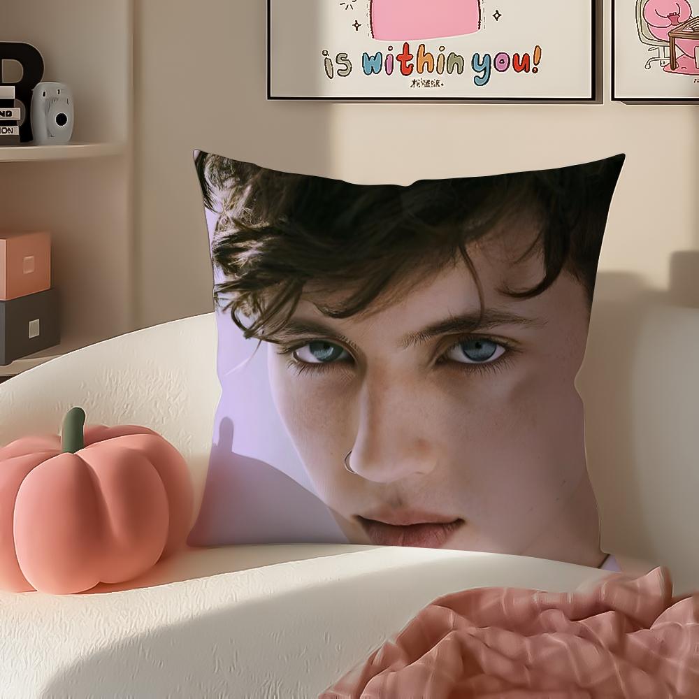 TTroye Sivan Cushion Cover Pillowcase Short Plush Invisible zipper Room Sofa Cushion Cover