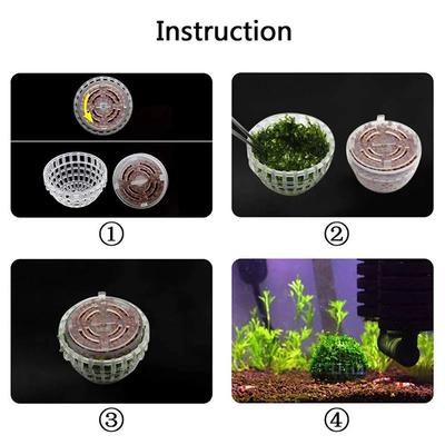 Peces y mascotas acuáticas – Decoración de peceras