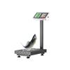 High Precision Digital Industrial Platform Scale (CN Version)