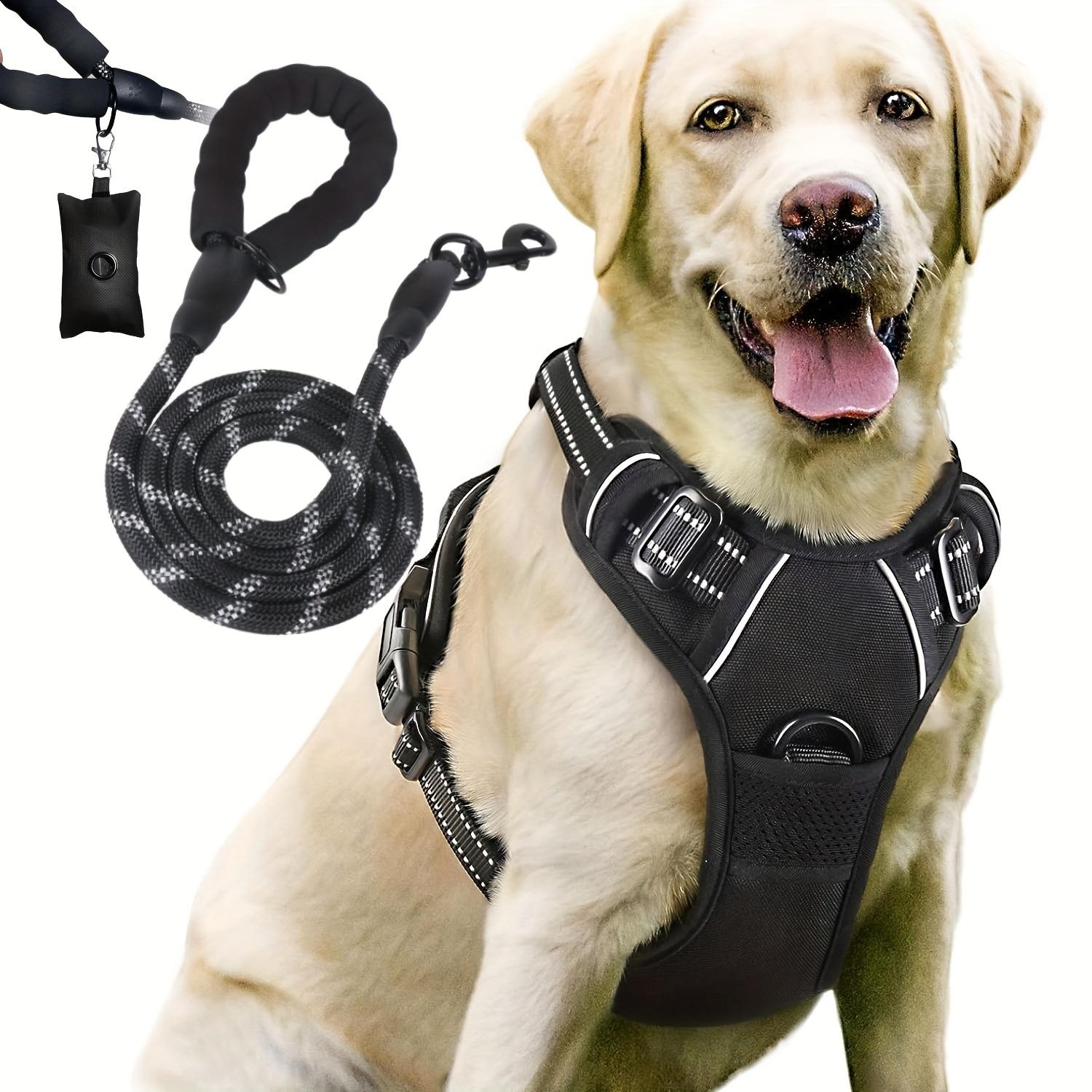 

No-Pull Dog Harness Leash Set, Adjustable Reflective Pet Vest for Outdoor Walking Training, Small Medium Large Breeds S небо синє кольору