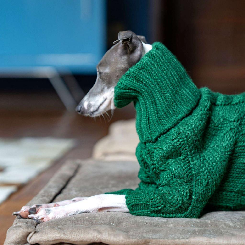 Christmas Green Dog Sweater Autumn Turtleneck Thickened Pet Sweater Italian Greyhound Whippet Two-legged Knitted Dog Clothes