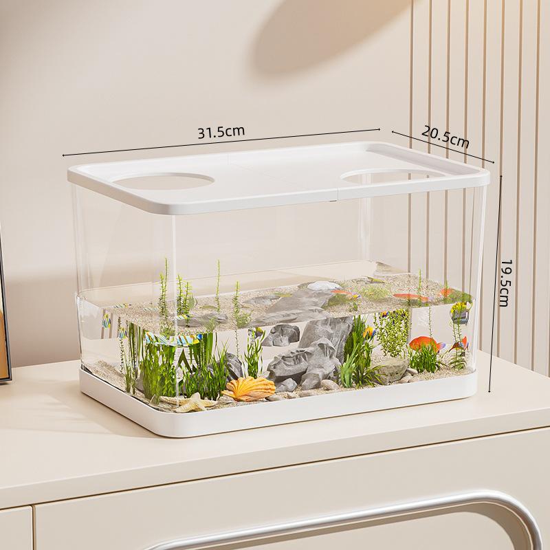 Clear Desktop Fish Tank with Turtle Platform