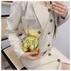 Small Funny Bag Design Acrylic Chain Bag Crossbody Small Bag Women's New Funny Bouncing Bag Earphone Lipstick Envelope Bag