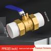 Lubinson Kejie PPR Double Union Ball Valve