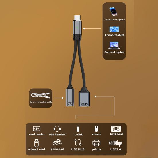 USB-C OTG Charging 2-in-1 100W PD & Data Adapter Cable Type C To USB