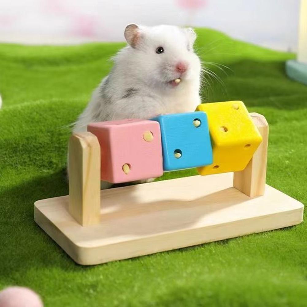 Hamster Fitness Cube Colorful Multi Faceted Activity Stress Relieving And Anti Depressant Toys For Hamster Sports