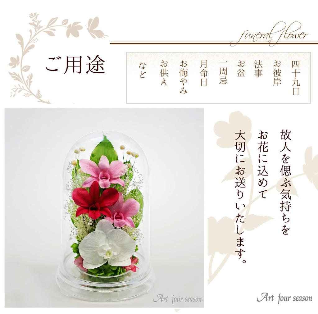 Kunst für Jahreszeiten Dendrobium Kuppel (Klares Rosa)