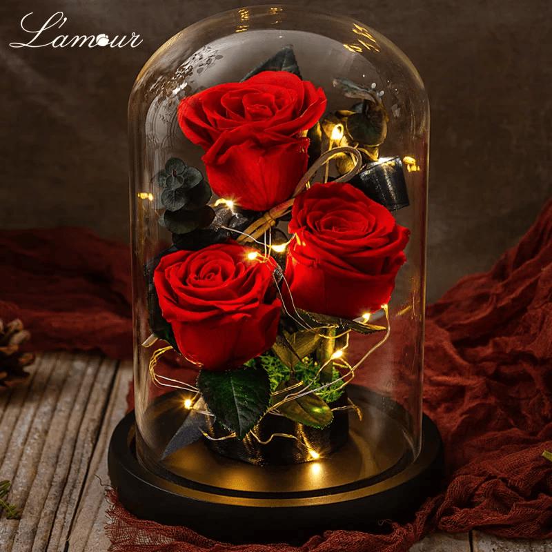Everlasting Rose Glass Dome with LED Night Light