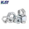 Stainless Steel Hex Nut