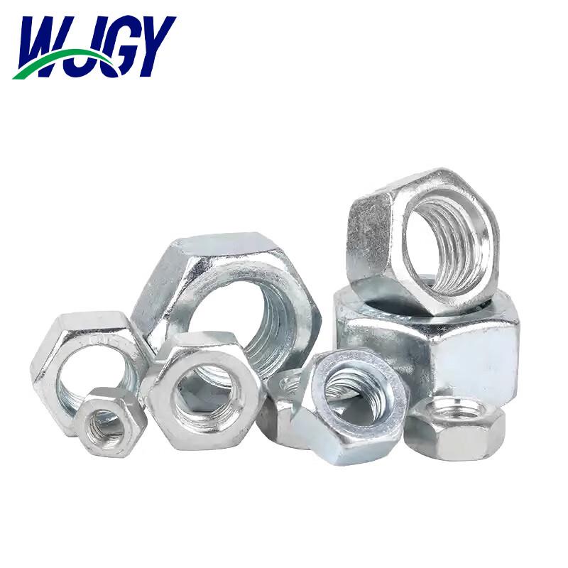 Stainless Steel Hex Nut