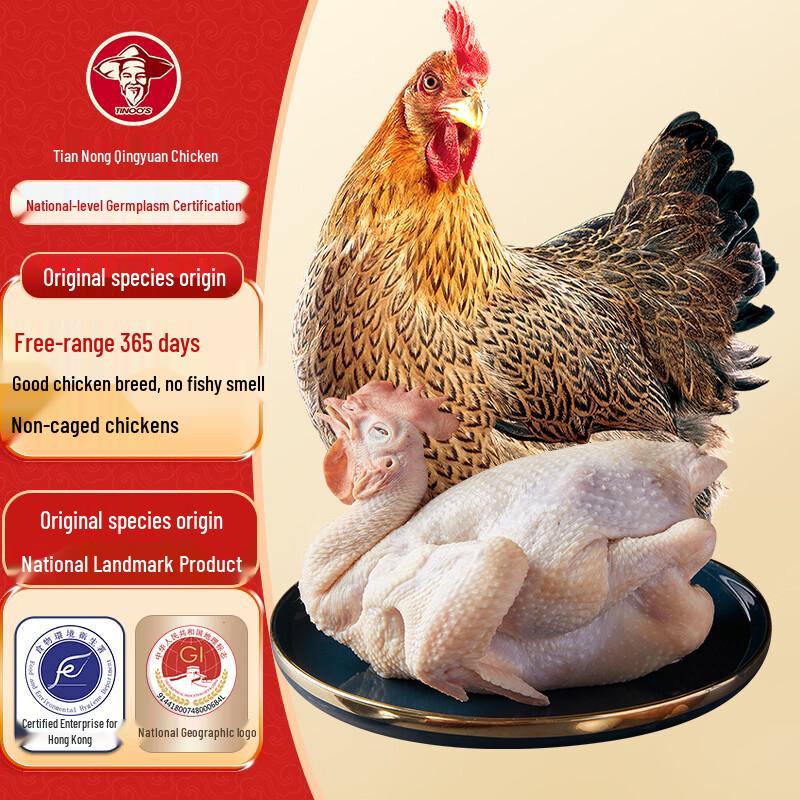 TianNong Qingyuan Free-Range Old Hen