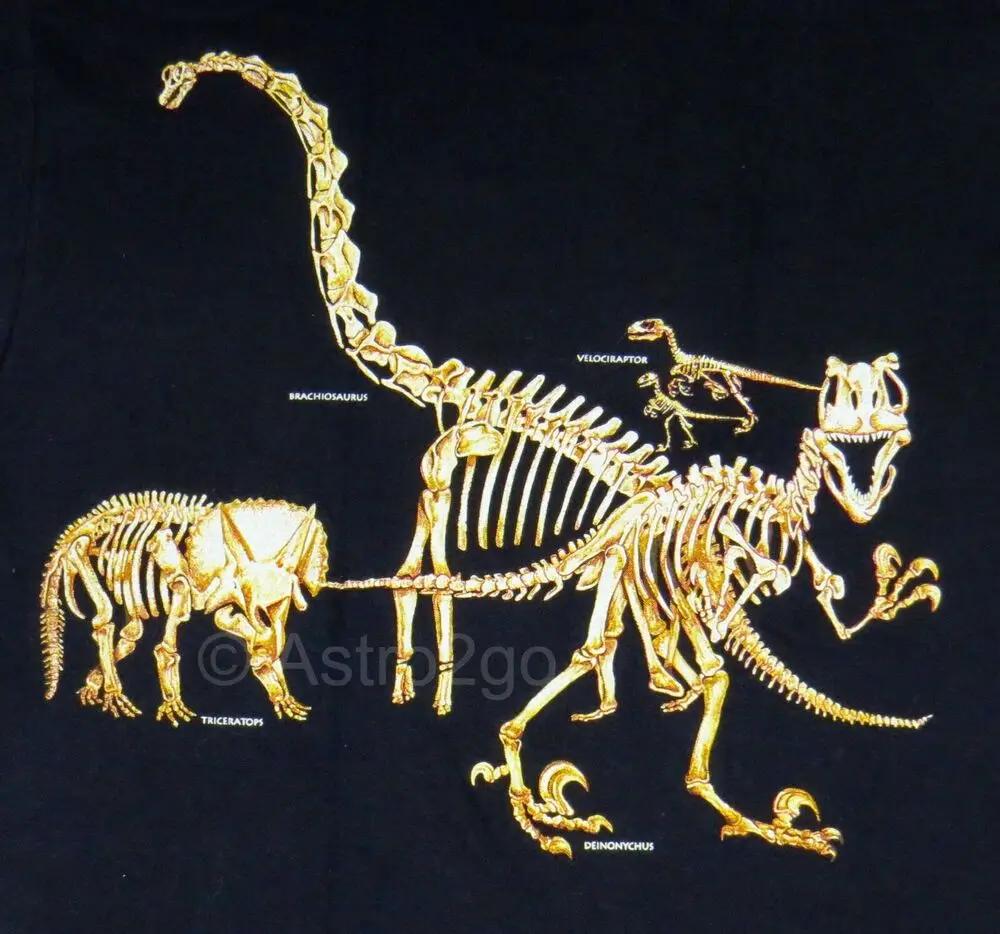 Jurassic Cretaceous TRex Dinosaur Skeletons TShirt New 100 Cotton ONeck Summer Short Sleeve Casual Mens Tshirt Size S3XL S