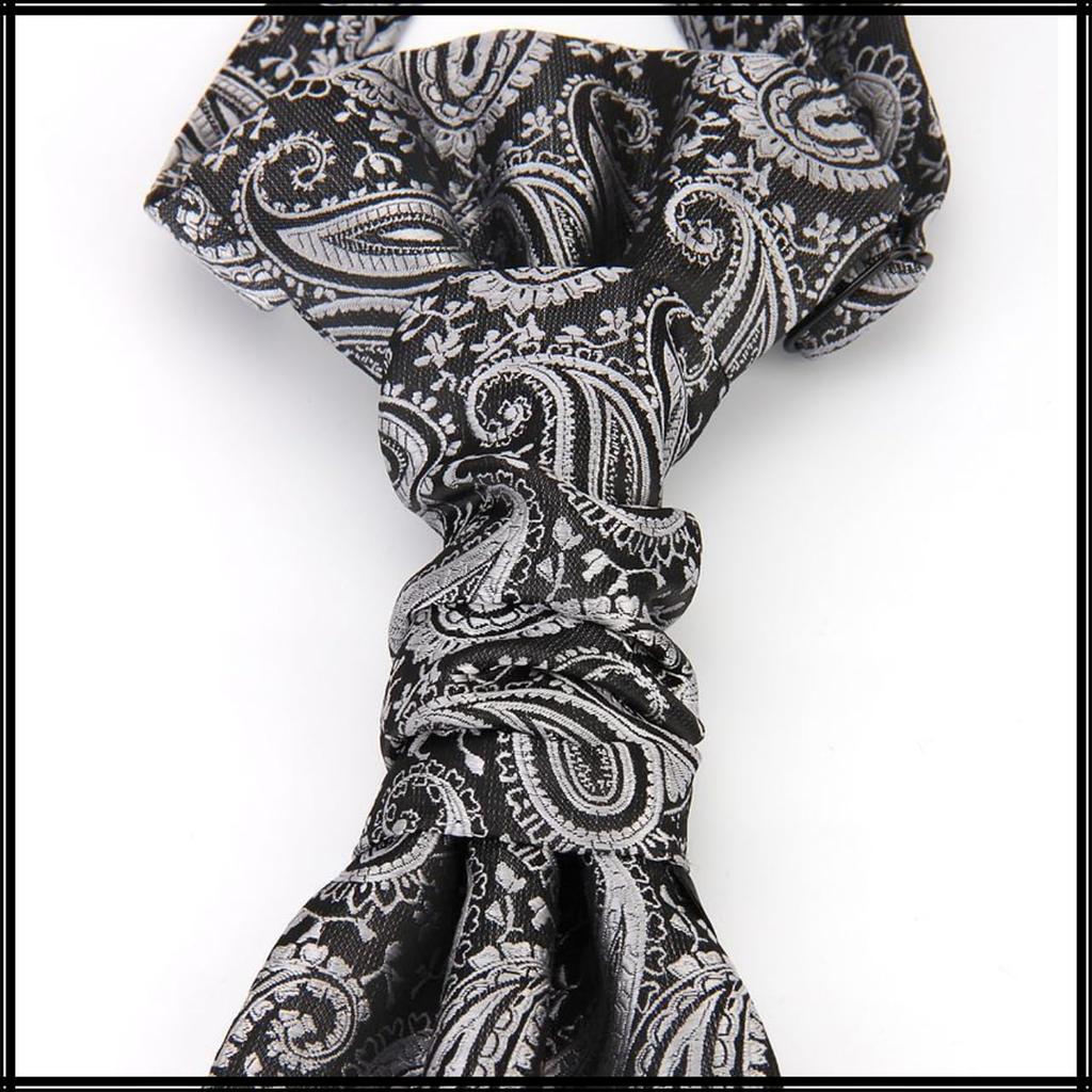 [White Fang] Paisley Pattern Elegant Tie, Business Casual Fashion, Stylish Men's NC069 (Wine)