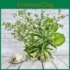 Paniculata L Gypsophila Faux Plastic Flowers For Wedding Arch And Home Decor