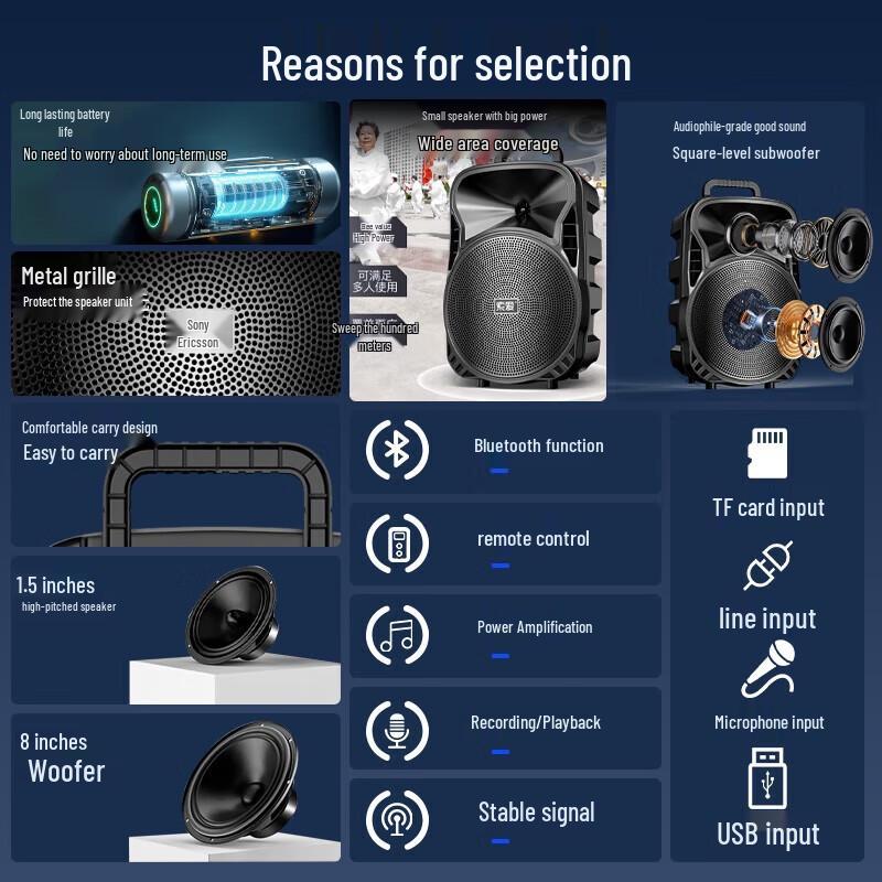 Soai ST-809 8-inch Portable K-Song Speaker