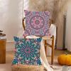 Mandala Cushion Cover Silky Short Plush DoubleSided Printed Pillow Case for Sofa All Seasons Home Decor Gift