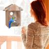 Wooden Bird House for Outside Bird Nesting Box Window Birdhouse for Viewing Bluebirds Houses for Outside with Strong Suction Cups