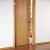 Automatic Pet Door Access Openings Doorway for Pet Dogs Cats Cages