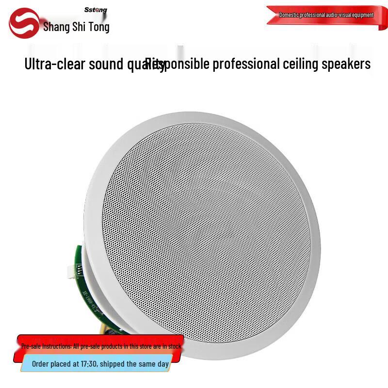 

Shangshitong TH-615 Professional Ceiling Speaker (CN version)