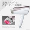 Panasonic Hair Dryer Ionity Quick Drying Large Air Volume Brown Tone EH-NE5G-T