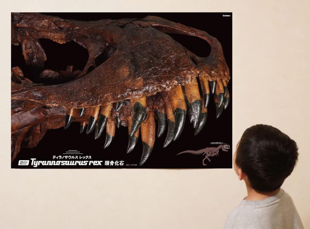 Gakken Tyrannosaurus Scale Skeleton Model Kit Poster 6 and Q750763 1/35 & Life-Size (Ages Up)
