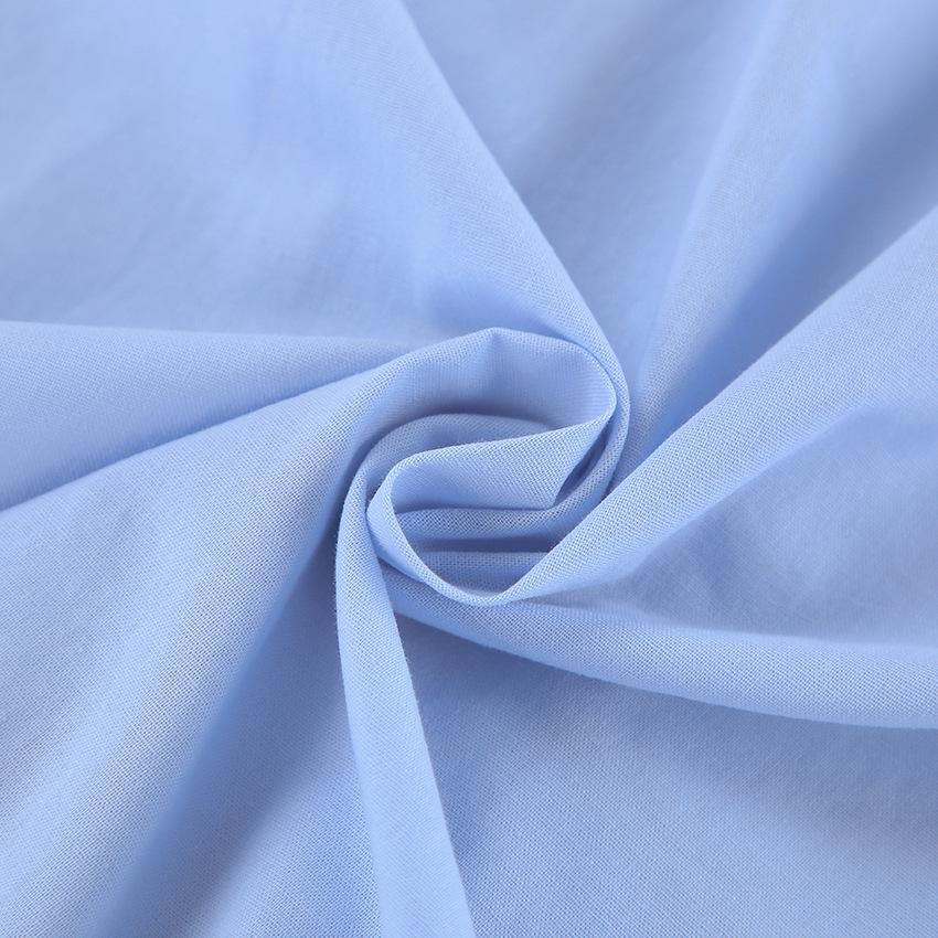 Light Blue Design Sense Lapel Women's Casual Shirt 2025 Fall and Winter New Niche Women's Tops