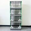 Large Breeding Cage for Budgerigar, Canary, Goldfinch, Grey Swallow, and Hibiscus Birds