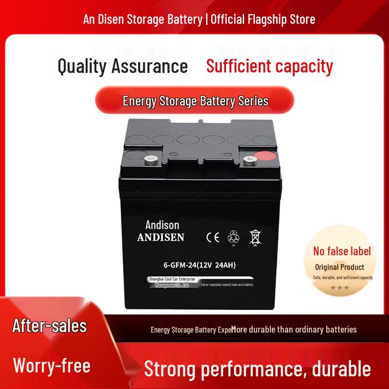 Andyson 6-GFM-24 12V 24AH Valve-Regulated Sealed Lead-Acid Battery