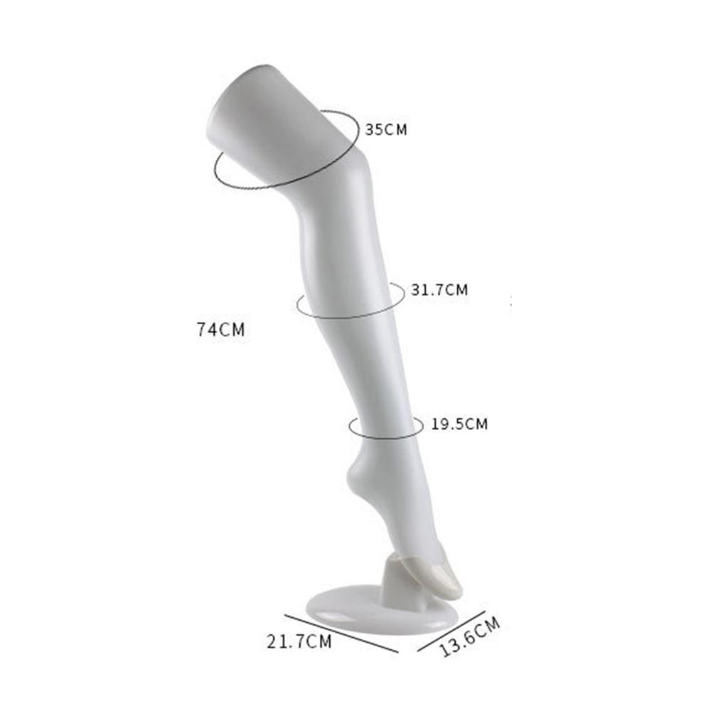 Freistehender Damenbein ,Modelle Haben Lange Beine Display Socken Werkzeug Display Requisite,