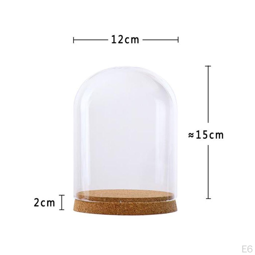 Cloche Bell Jar with Wooden Cork Base Wedding Christmas
