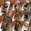 Telefoonhoesjes – Smartphonebumpers