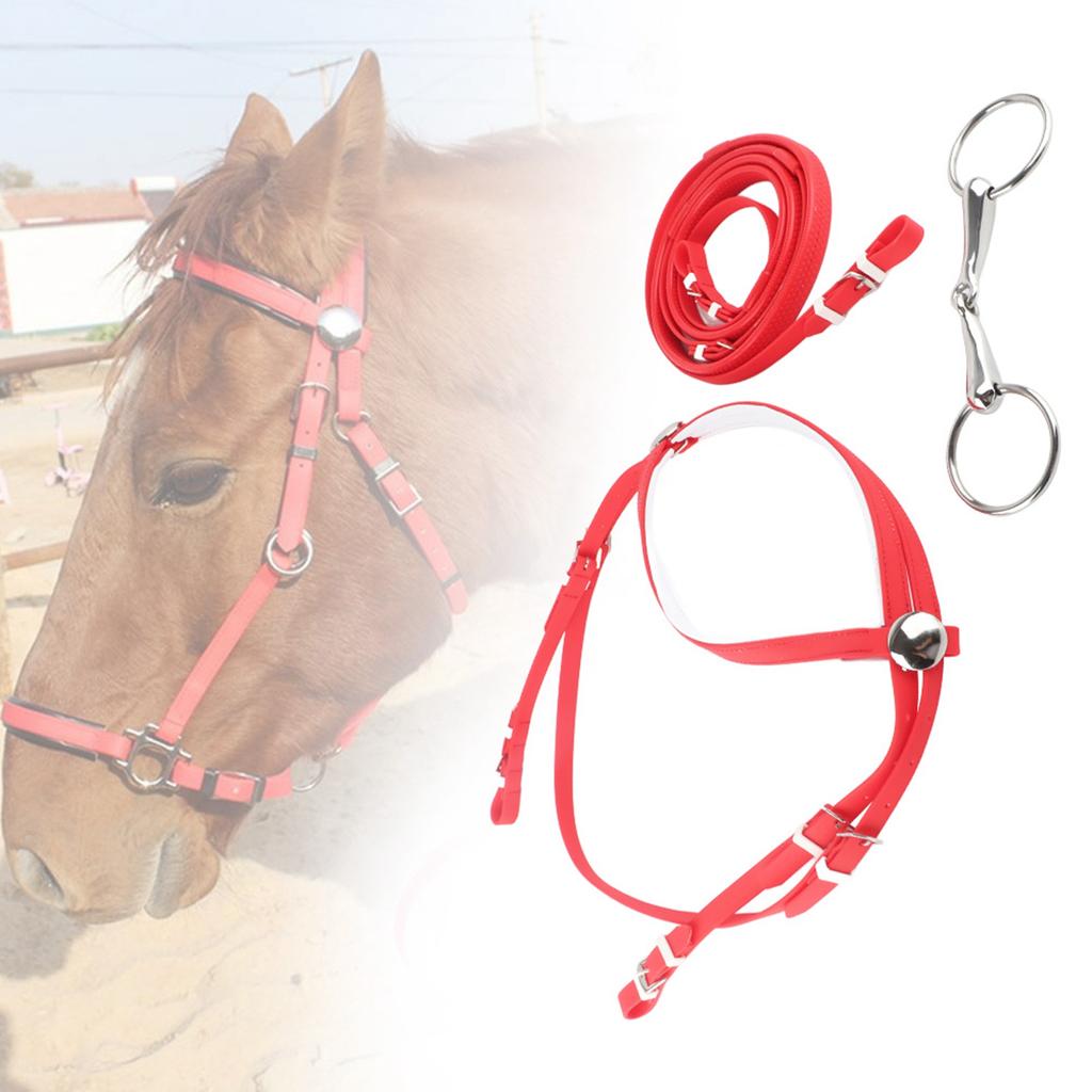 PVC Ayarlanabilir At Gemliği Dizgin Koşum Başlıkları Çıkarılabilir Paslanmaz Çelik Oyuk Ağızlık