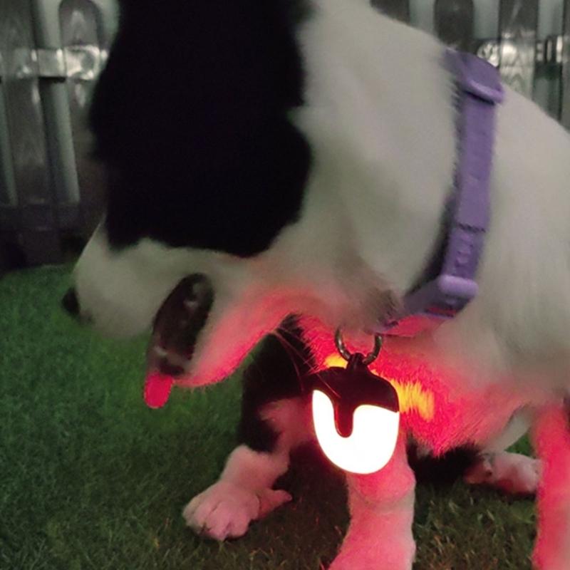 Evening Pet Walk Light Collar with Rechargeable Power, Daily Dog Gear Safety Light for Neighborhood Walk Use and Hanging Carry