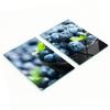 Multifunctional Decorative Glass Boards with Blueberry Print 2x40x52 Cm