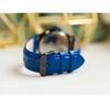 Swiss Alpine Military Watch SAM7022.1575