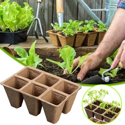 10/20 Stück Biologisch abbaubare Anzuchttöpfe aus Torf Anzuchtschale für Samen Pflanzschale Set für Garten Grow Box Zubehör Anzuchttasse