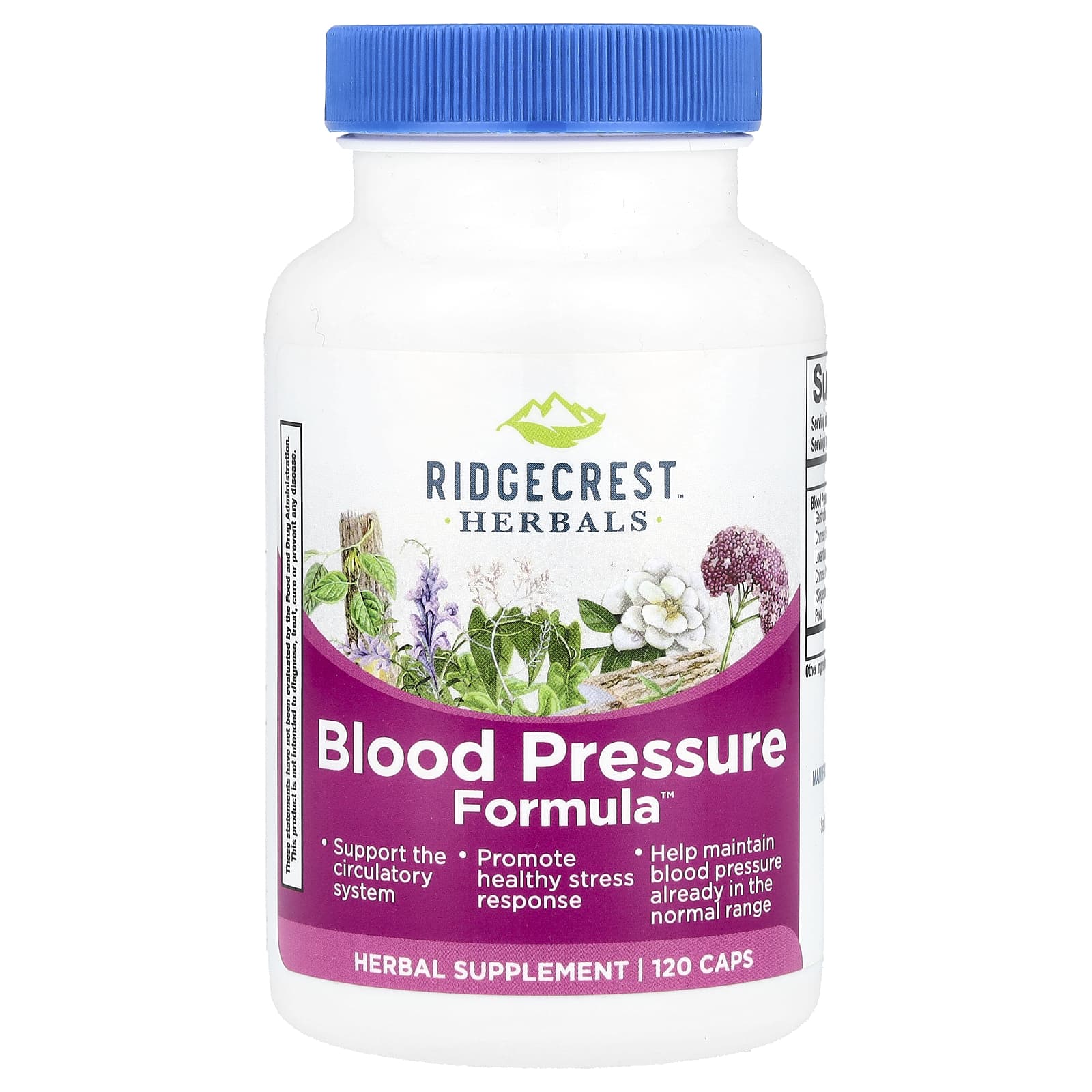 

Blood Pressure Formula™, 120 Capsules