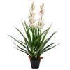 Artificial Plant Cymbidium Orchid with Pot 100 Cm