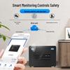 Tiger Brand Borui Series Fingerprint Password Safe