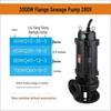 220V Septic & Irrigation Pump: High-Head Sewage & Drainage Solution