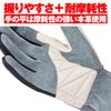 Daytona Motorcycle Gloves Genuine Leather Smartphone Compatible Cafe Mesh Gloves Ivory XL Size 19964 Spring/Summer (Goat Leather) HBG-065