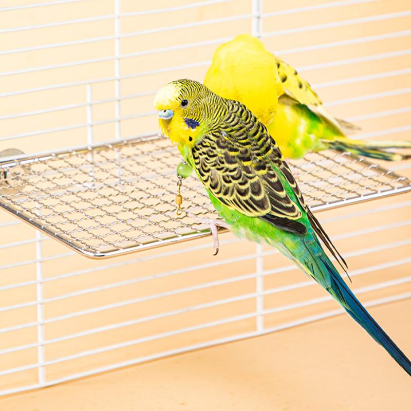 Pet Parrot Stainless Steel Rest Jump Platform Stand Board Chew Bite Toys Stick Tree Branch Stand Rack Bird Cage Accessories