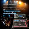Runpu RP-STY16EX 16-Channel Professional Digital Audio Mixer (CN version)