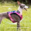Adjustable Pet Dog Nylon Harness With Reflective Strape Dog Harness Durable Chest Strap Vest for Medium Large Dogs Bulldog